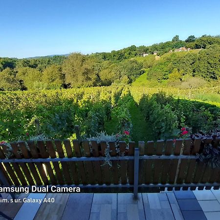 فيلا Kuca Za Odmor Vinica Breg فاغاشدين المظهر الخارجي الصورة